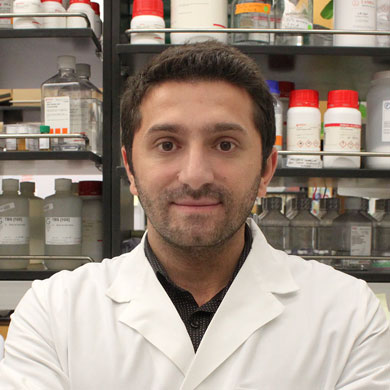 Hamza Celik, Ph.D. 