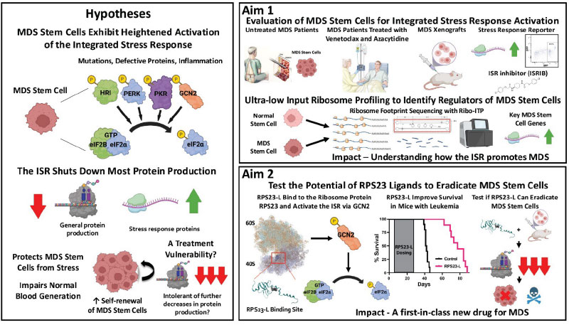 Scientific Poster - hypotheses and Aim