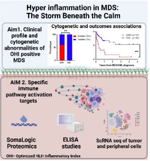 Hyper inflammation in MDS: The storm beneath the calm